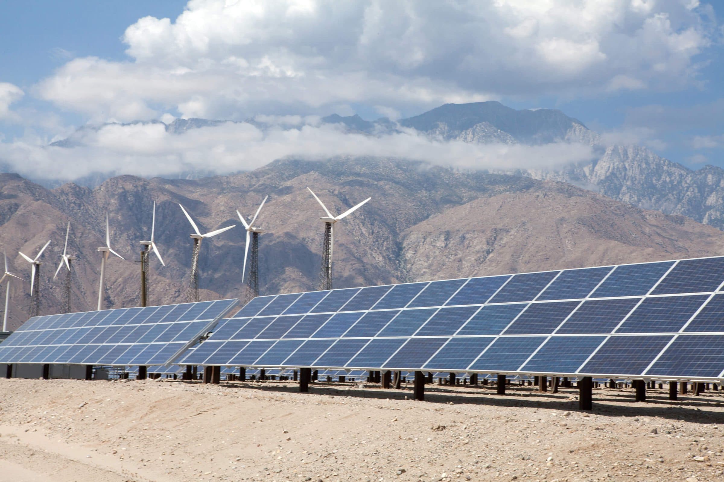 Solar modules installed across a hillside site